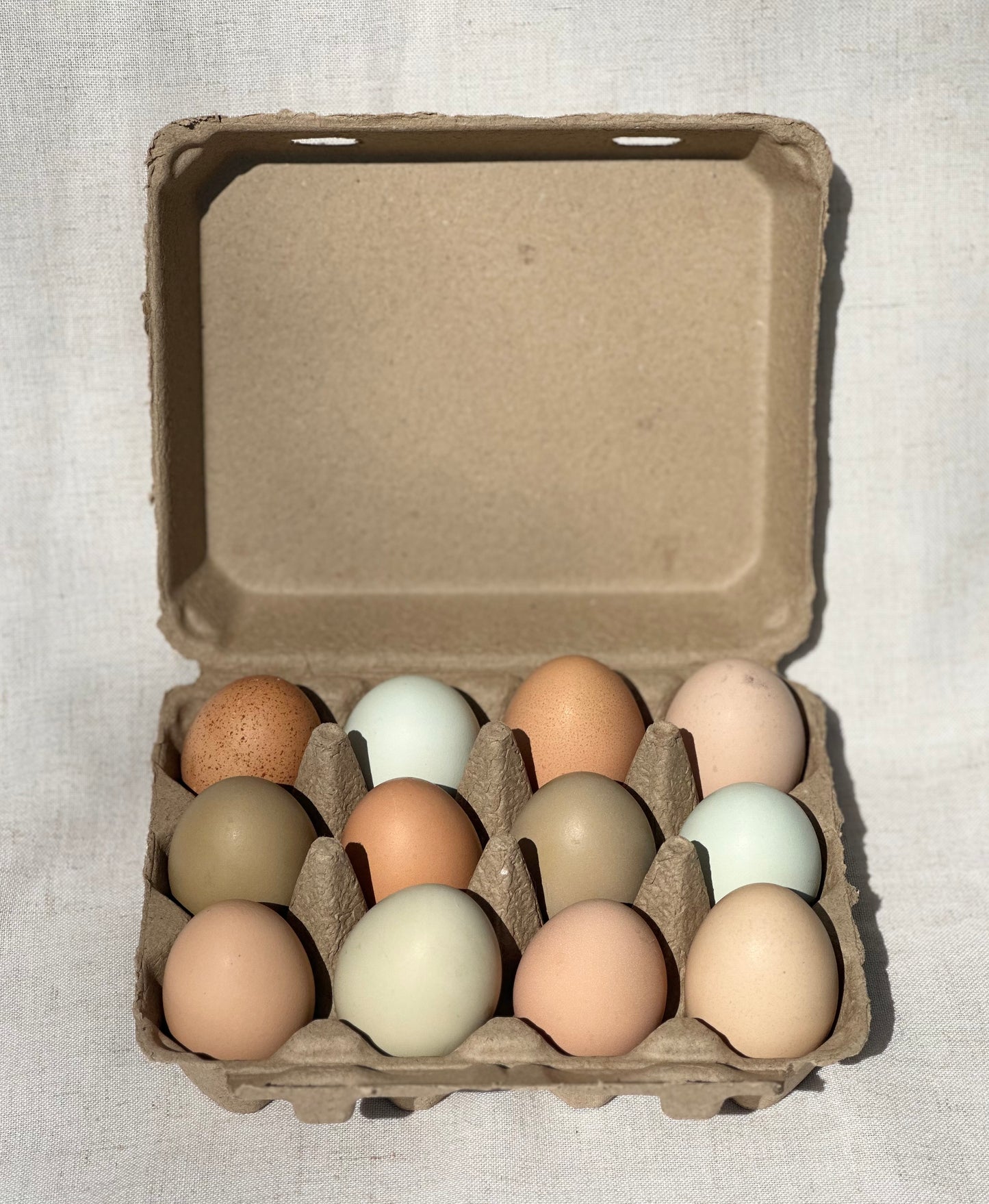 Farm Fresh Eggs - Dozen -Preorder