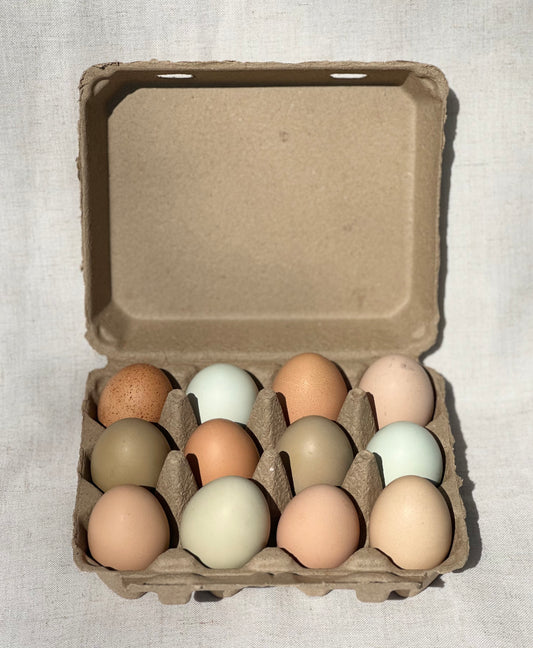 Farm Fresh Eggs - Dozen -Preorder